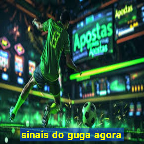 sinais do guga agora